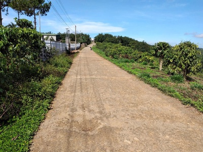 Sở hữu ngay lô đất đẹp - giá tốt - vị trí đắc địa tại tân lâm 2, đinh trang thượng, lâm đồng 0