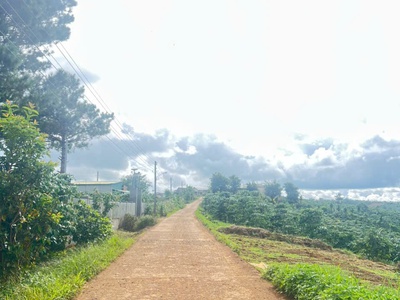 Sở hữu ngay lô đất đẹp - giá tốt - vị trí đắc địa tại tân lâm 2, đinh trang thượng, lâm đồng 2