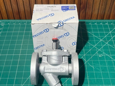 Van xả khởi động GESTRA 0