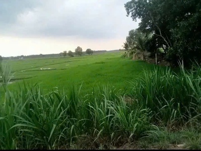Hot  hot   hot chính chủ bán đất  - giá hợp lý 0