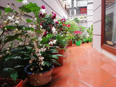 Siêu hiếm, bán nhà phố đào tấn, ô tô vào nhà, 76m , vị trí đẹp, chỉ 25 tỷ 2