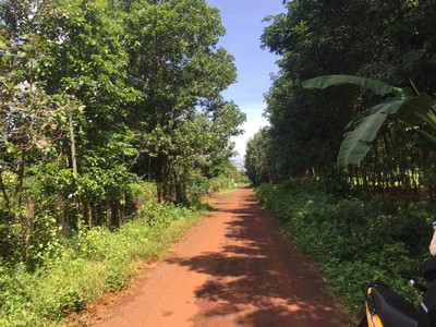 Kẹt tiền cần bán lô đất đẹp bình phước 3