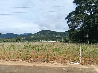 Đất đẹp - giá tốt - chính chủ cần bán lô đất vị trí đẹp tại xã gia lâm, lâm hà, lâm đồng 3