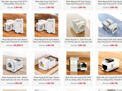 Phân phối ổ cắm mạng âm tường cho đại lý công trình thợ khắp cả nước giá rẻ. 2