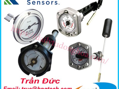 Đồng hồ đo mức Rochester   Rochester Sensors 1