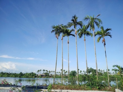 Chính chủ gửi bán lô nhà vườn view sông Hòa Nghĩa Dương Kinh, Hải Phòng 450m 3