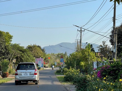 Cô Chú Hàng Xóm Cần Bán Lô Đất Vườn Cây Ăn Trái Lâu Năm Do Tuổi Già Không Còn Sức Chăm 4