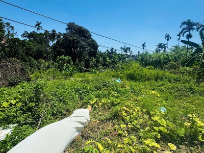 BÁN LÔ ĐẤT LÂM ĐỘNG CŨ diện tích 60m2, ngõ ô tô   gần đường 203 1