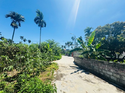 BÁN LÔ ĐẤT LÂM ĐỘNG CŨ diện tích 60m2, ngõ ô tô   gần đường 203 3