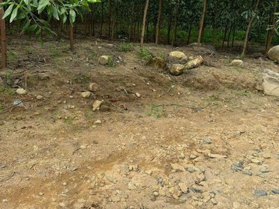 Bán lô đất giá chỉ 180tr dt:532,6m2   ngang 9m 0