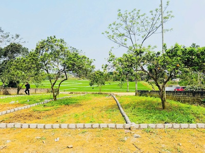 Siêu phẩm đất đẹp thanh cao   lương sơn   hòa bình 2