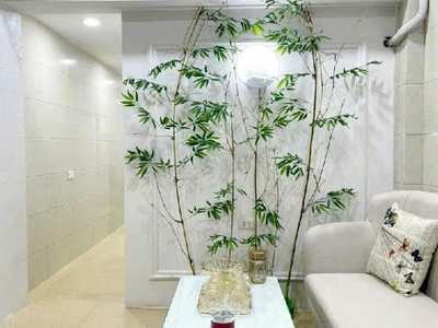 Bán căn hộ tập thể tầng 1 sđcc bùi ngọc dương 40m2 full đồ 2.86 tỷ 4
