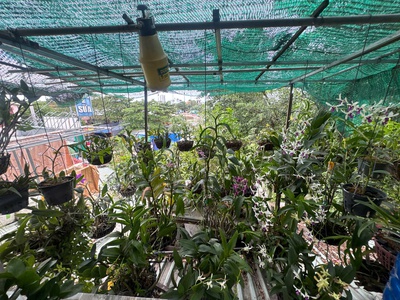 Mặt tiền kinh doanh trung tâm dĩ an   dãy trọ 2 tầng ngang 10m   thu 70tr/tháng   416m  full thổ cư 3