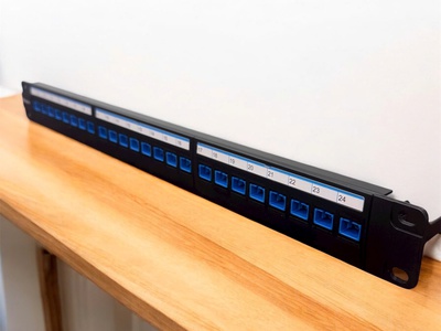 Thanh đấu nối cáp patch panel cat5 cat6 cat6A cat7 16 cổng 24 cổng 48 cổng Picolink hàng tốt giá tốt 15