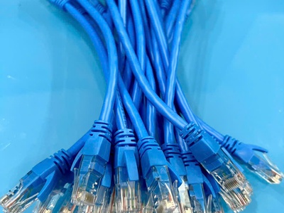  Phân phối dây nhảy mạng Cat6 chuẩn đồng 100   chất lượng cao cho dự án, công trình. 16