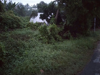 Chính chủ cần bán 2000m2 đất vườn tại 454, xã tiên long, huyện châu thành, bến tre 0