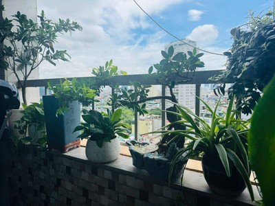 Căn hộ ct2 vimeco mặt phố nguyễn chánh 130m2, 3pn căn góc nội thất hiện đại, 15 tỷ 4