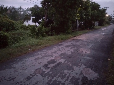 Chính chủ cần bán 2000m2 đất vườn tại 454, xã tiên long, huyện châu thành, bến tre 3