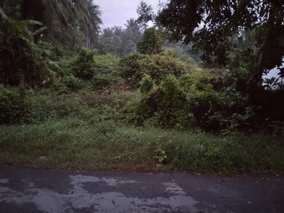 Chính chủ cần bán 2000m2 đất vườn tại 454, xã tiên long, huyện châu thành, bến tre 1