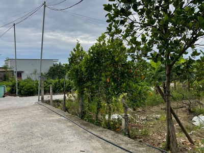 Chủ gửi bán lô đất đẹp   dân hạnh, đặng cương, an dương, hải phòng 0