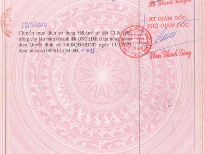 Bán Lô Đất Full Thổ Cư   Vị Trí Đẹp Tân Thạnh Đông, Củ Chi 2
