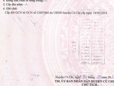 Bán Lô Đất Full Thổ Cư   Vị Trí Đẹp Tân Thạnh Đông, Củ Chi 3