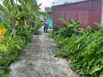 Lô đất 62m  giá chỉ 6xx   tuyến 2 bình minh nam đồ sơn, hàng hiếm đầu tư zalo 0567 222 555 4