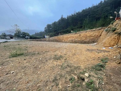 Gia đình cần chuyển nhượng 800m  đất vị trí đẹp tại trung tâm xã Tú Lệ, cách Le Charm Tú Lệ chỉ 300m 7