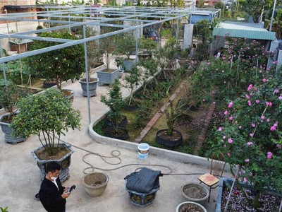 Siêu phẩm đất 642m  vườn hồng   trung tâm tân thành, dương kinh   giá chỉ hơn 2x triệu/m    zalo 1