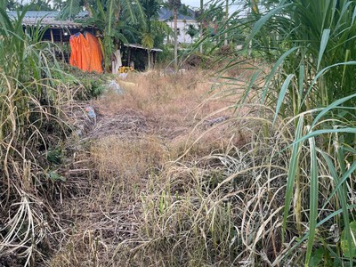 Lô đất 62m  giá chỉ 6xx   tuyến 2 bình minh nam đồ sơn, hàng hiếm đầu tư zalo 0567 222 555 1