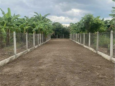 Mua bán đất vườn tại khánh hoà 0