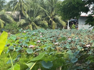 Bán nhà hẻm đặng tất   gần biển, 217m    giá chỉ 12 ty 00 mọi thông tin liên hệ e 1