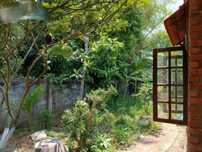 Cần bán nhà vườn view sông cái  hòa phước - hòa vang- đà nẵng   diện tích lớn, vị trí đẹp 1