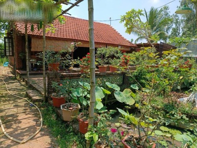 Cần bán nhà vườn view sông cái  hòa phước - hòa vang- đà nẵng   diện tích lớn, vị trí đẹp 3