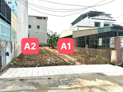 Bán đất View vườn hoa phân lô Đồng Hin, Lai Sơn Đồng Tâm, Vĩnh Yên 1