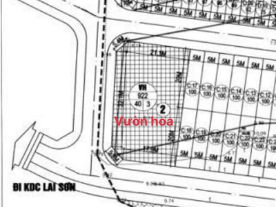 Bán đất View vườn hoa phân lô Đồng Hin, Lai Sơn Đồng Tâm, Vĩnh Yên 5