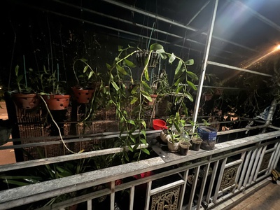 Cho thuê nhà nguyên căn mặt tiền Nguyễn Hữu Thọ   Xã Long Thới, Huyện Nhà Bè 4