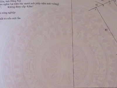 Bán đất xây dựng nhà xưởng   CỤM CÔNG NGHIỆP DỐC 47, TAM PHƯỚC, BIÊN HÒA, ĐỒNG NAI   52.122m 2