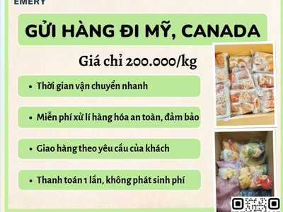 Gửi hàng đi USA, Canada - Tiến Việt Express 0