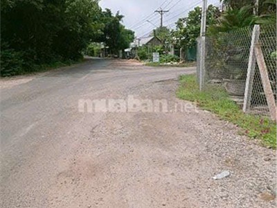 Đất đẹp   giá tốt    chính chủ cần bán tại xã suối dây, huyện tân châu, tây ninh 0