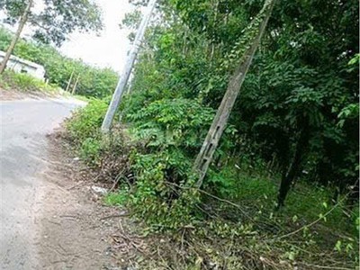 Đất đẹp   giá tốt    chính chủ cần bán tại xã suối dây, huyện tân châu, tây ninh 1