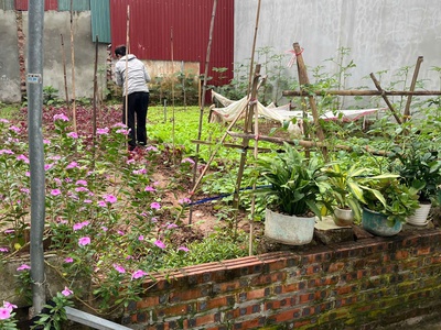 Bán đất hàng hiếm tại ngọc tảo, phúc thọ, hà nội, 34 triệu / m2, 104 m2 2