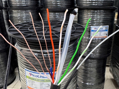 Cáp mạng CAT6 ngoài trời UTP - Có dây chịu lực gia cường PL-305OD-UTP-C6 2
