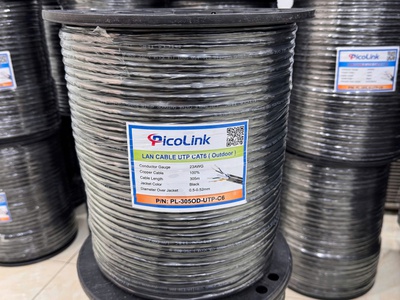 Cáp mạng CAT6 ngoài trời UTP - Có dây chịu lực gia cường PL-305OD-UTP-C6 1