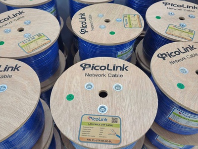 Dây mạng, cáp mạng Cat6E UTP PicoLink P/N: PL-UTP305-6E-BLUE cho dự án đại lý. 1