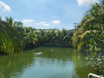 Cho thuê nhà xưởng   XÃ TÂN AN, HUYỆN VĨNH CỬU, ĐỒNG NAI   33.000m 1