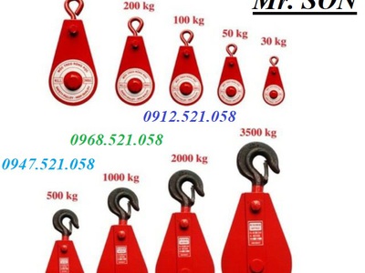 Móc treo ròng dọc sắt đỏ 30kg, 50kg,100kg,200,300kg 0912521058 Sơn Mr có puly sắt 1,2,3,5,10 tấn 0