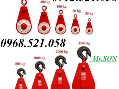 Móc treo ròng dọc sắt đỏ 30kg, 50kg,100kg,200,300kg 0912521058 Sơn Mr có puly sắt 1,2,3,5,10 tấn 1