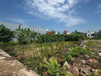 3,x tỷ - siêu phẩm nhà vườn 583m  lô 2 trục trung nghĩa   minh đức đồ sơn  zalo 0567 222 555 1