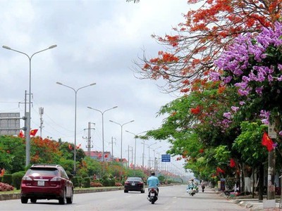 6x triệu/m  - lô đất mặt đường 353 trung nghĩa, siêu hiếm kinh doanh cực đỉnh  zalo 0567 222 555 3